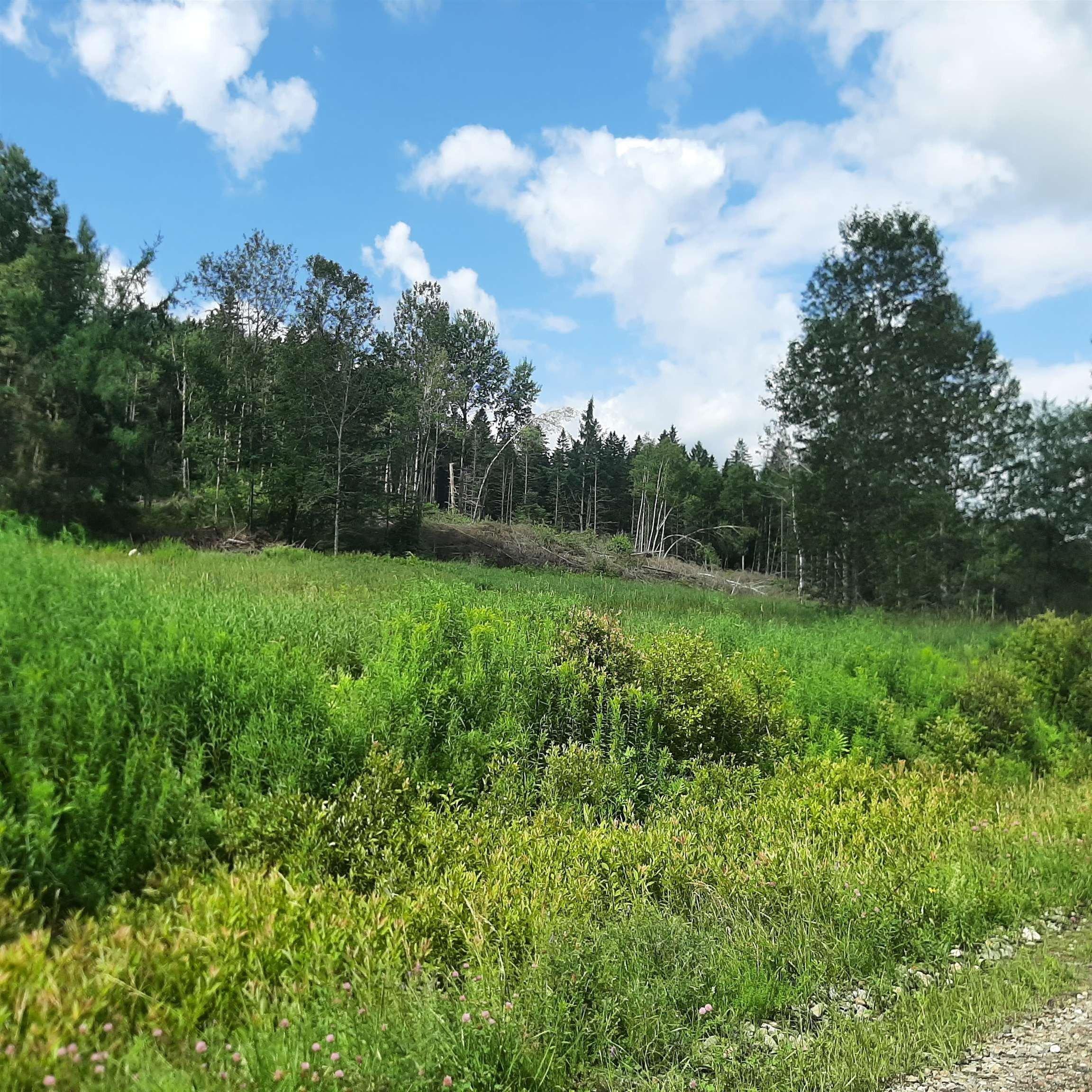 Dixville Real Estate Find Houses & Homes for Sale in Dixville, NH