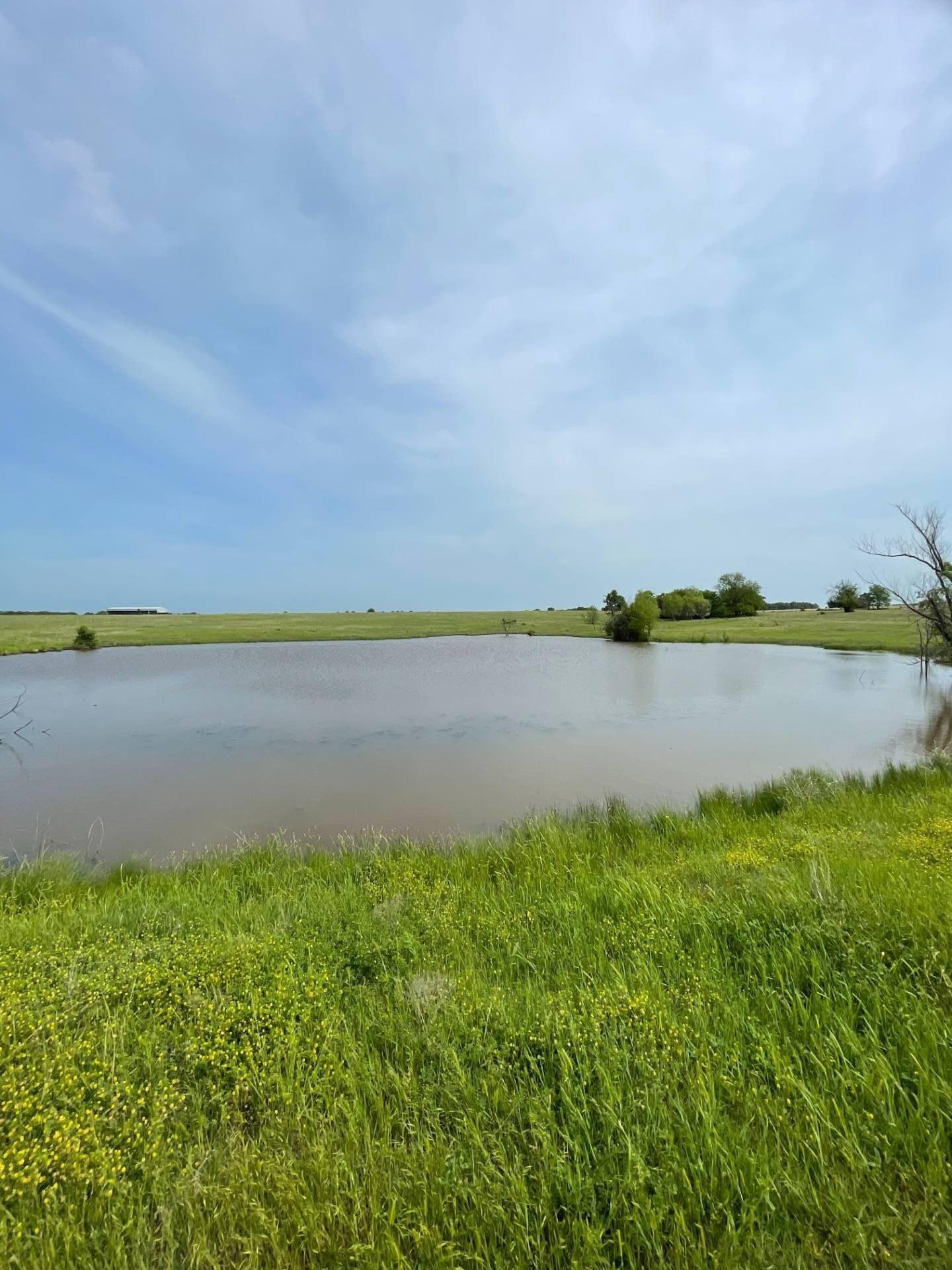 print property image
