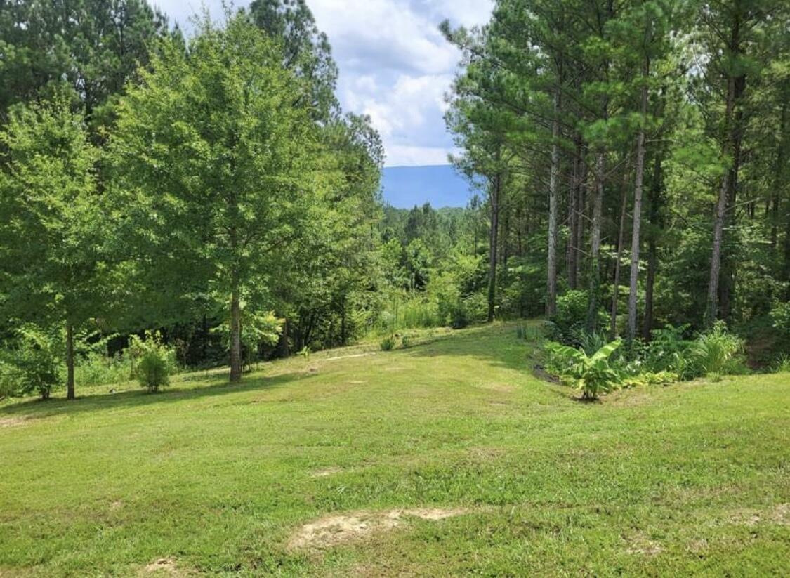 Property Image for 147 Hiwassee Trails Drive