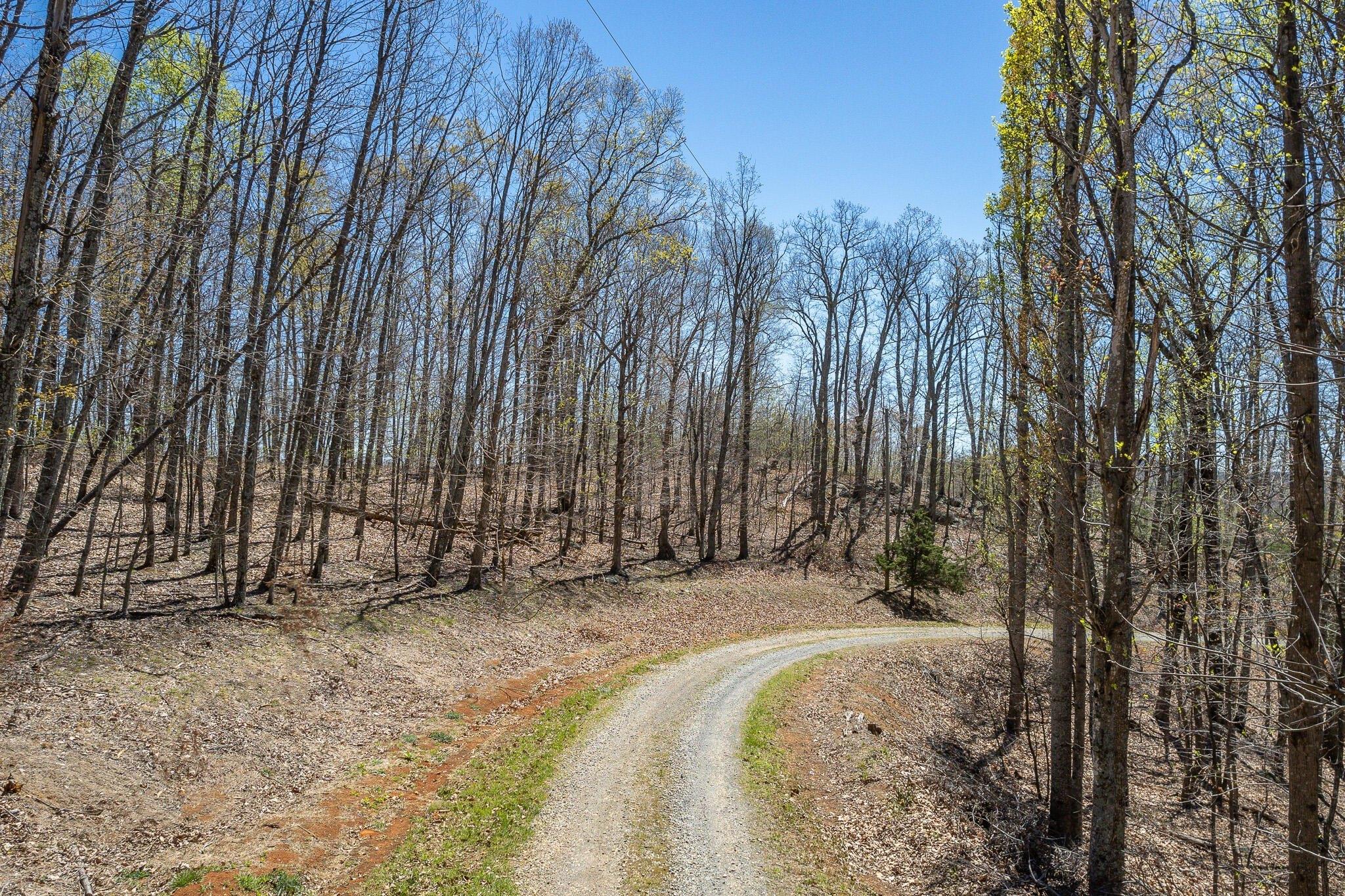 Property Image for Lot 3 Tamarack CIR