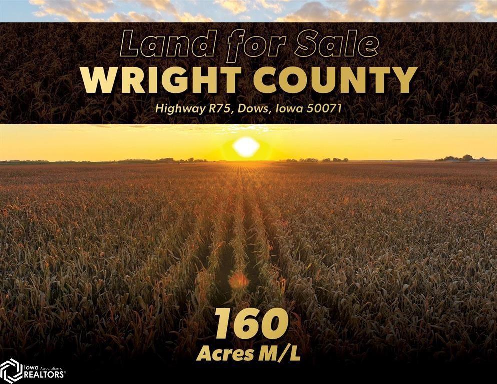 Dows Real Estate Find Houses & Homes for Sale in Dows, IA