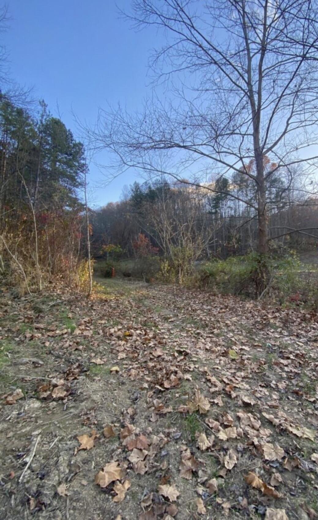 Property Image for Tract # High Knob Ridge