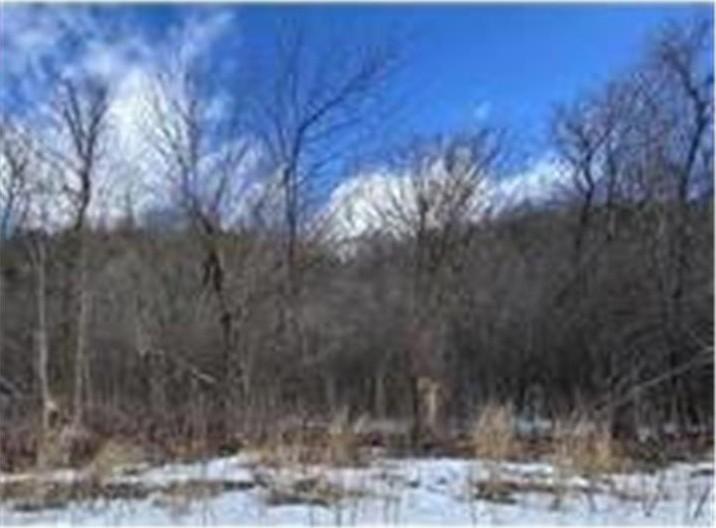 Property Image for Lot 9 185th Avenue