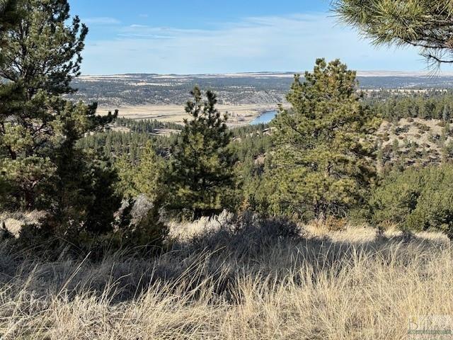 Property Image for Lot 51 Buckskin Trail