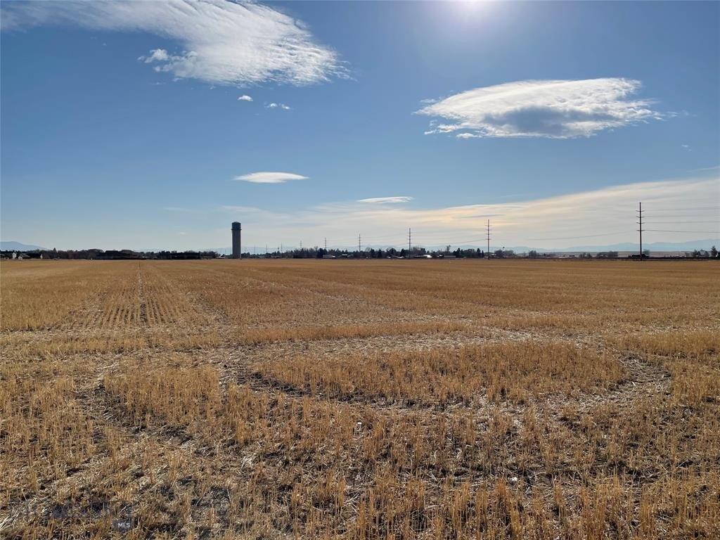print property image