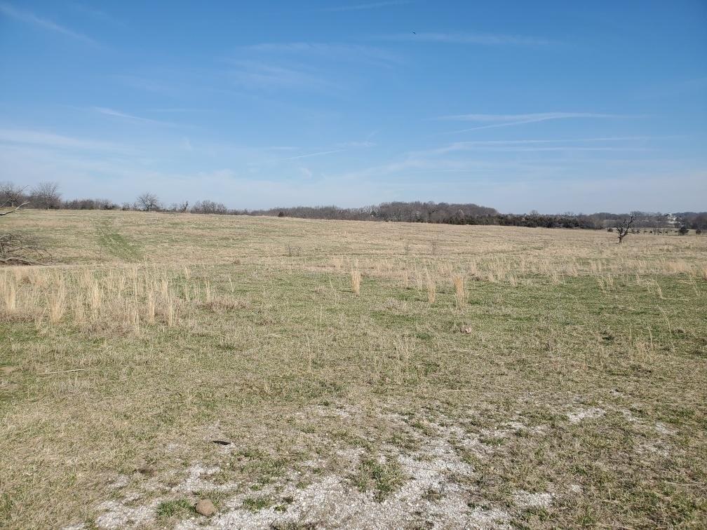 print property image