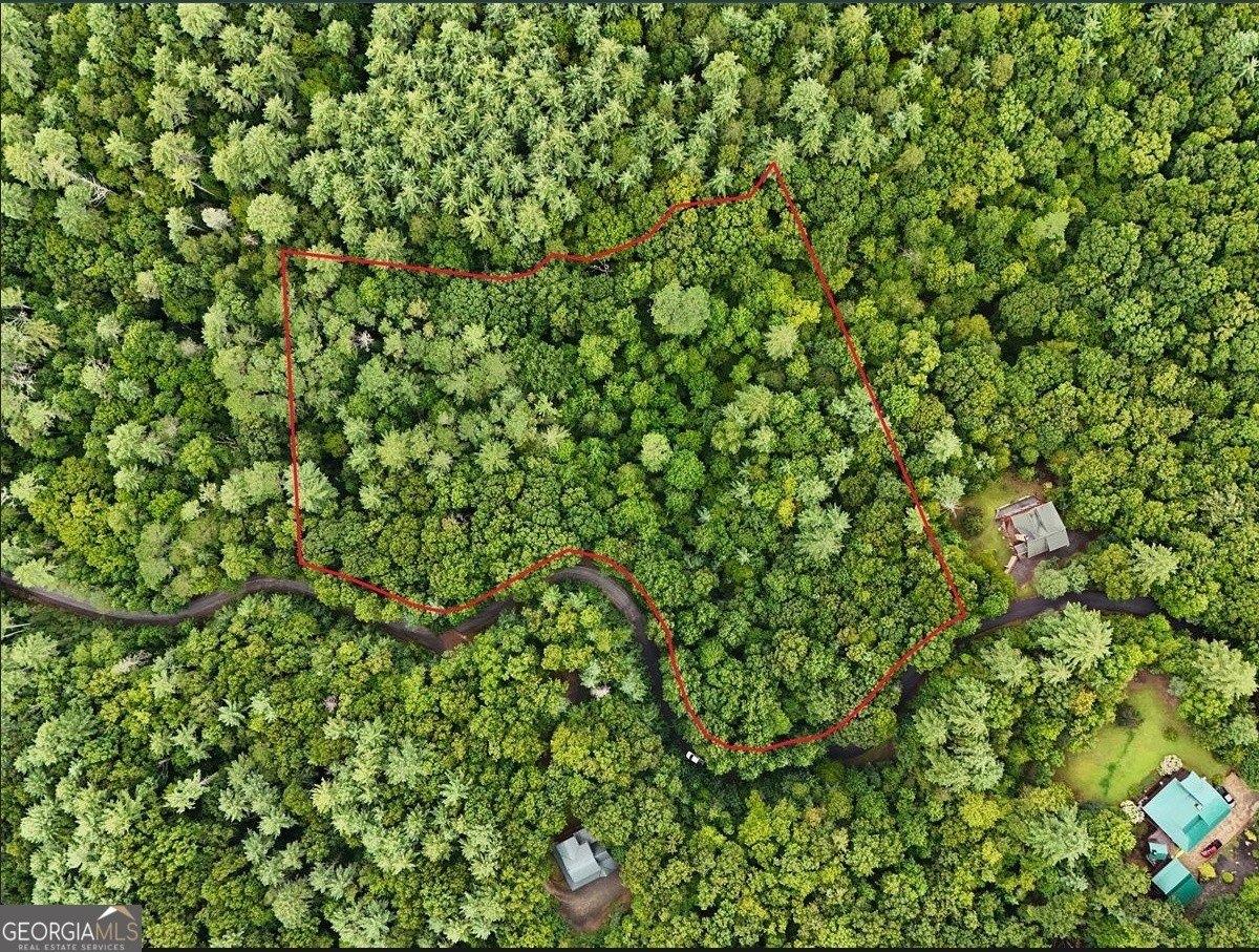 print property image