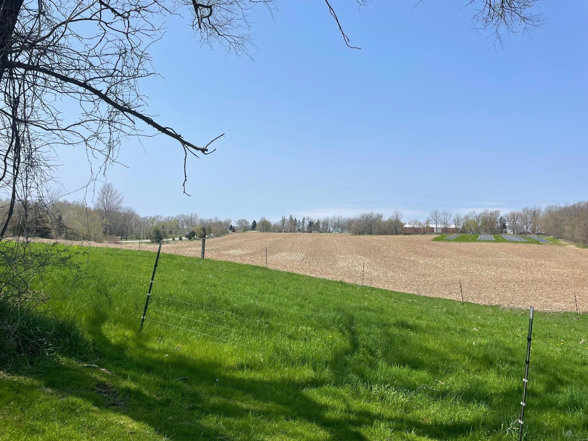 print property image