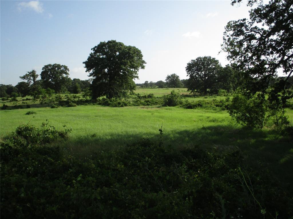 Property Image for 283 Acres Dry Valley Rd