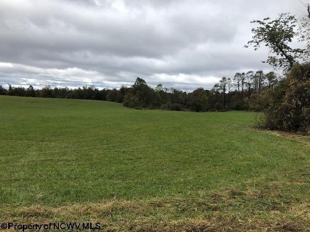 Property Image for 17688 Lot 2 Veterans Memorial Highway