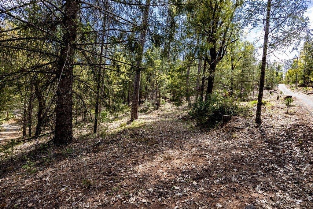 Property Image for 10566 Salmina Road