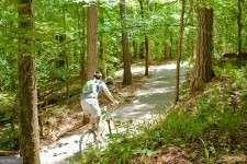 print property image