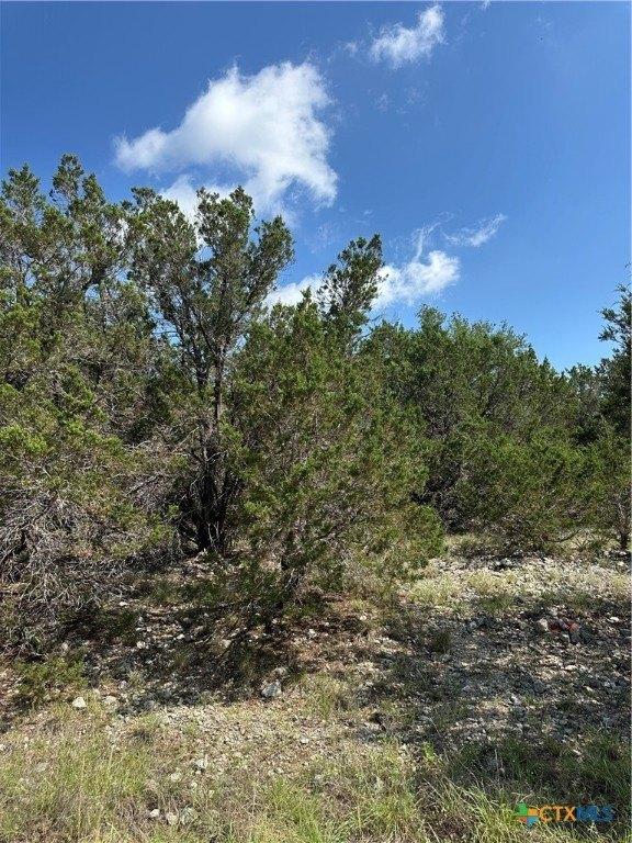 print property image