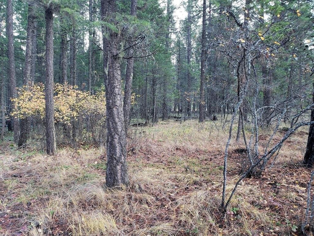 print property image