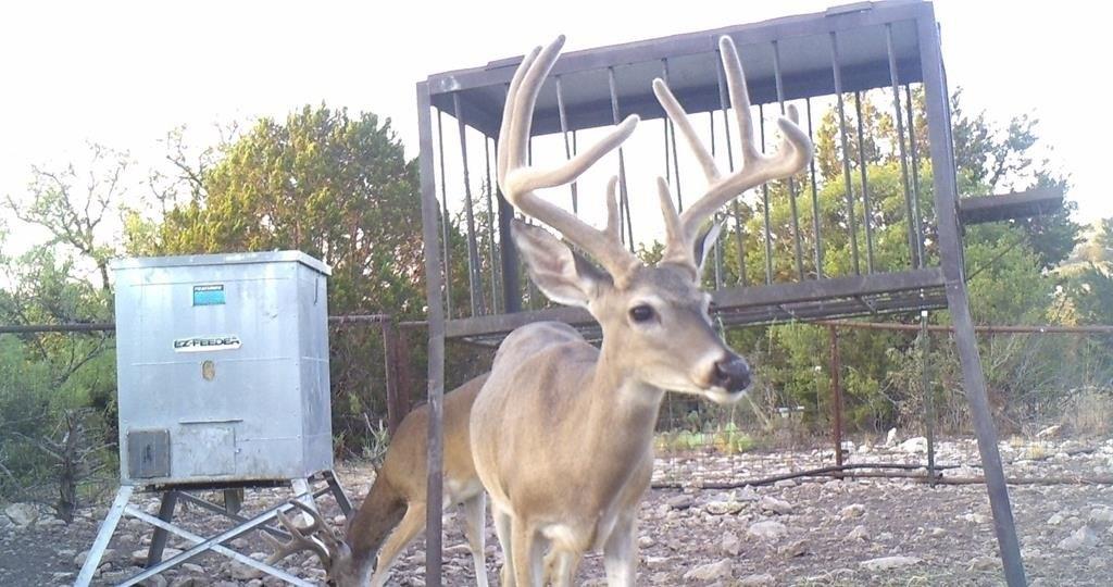 print property image