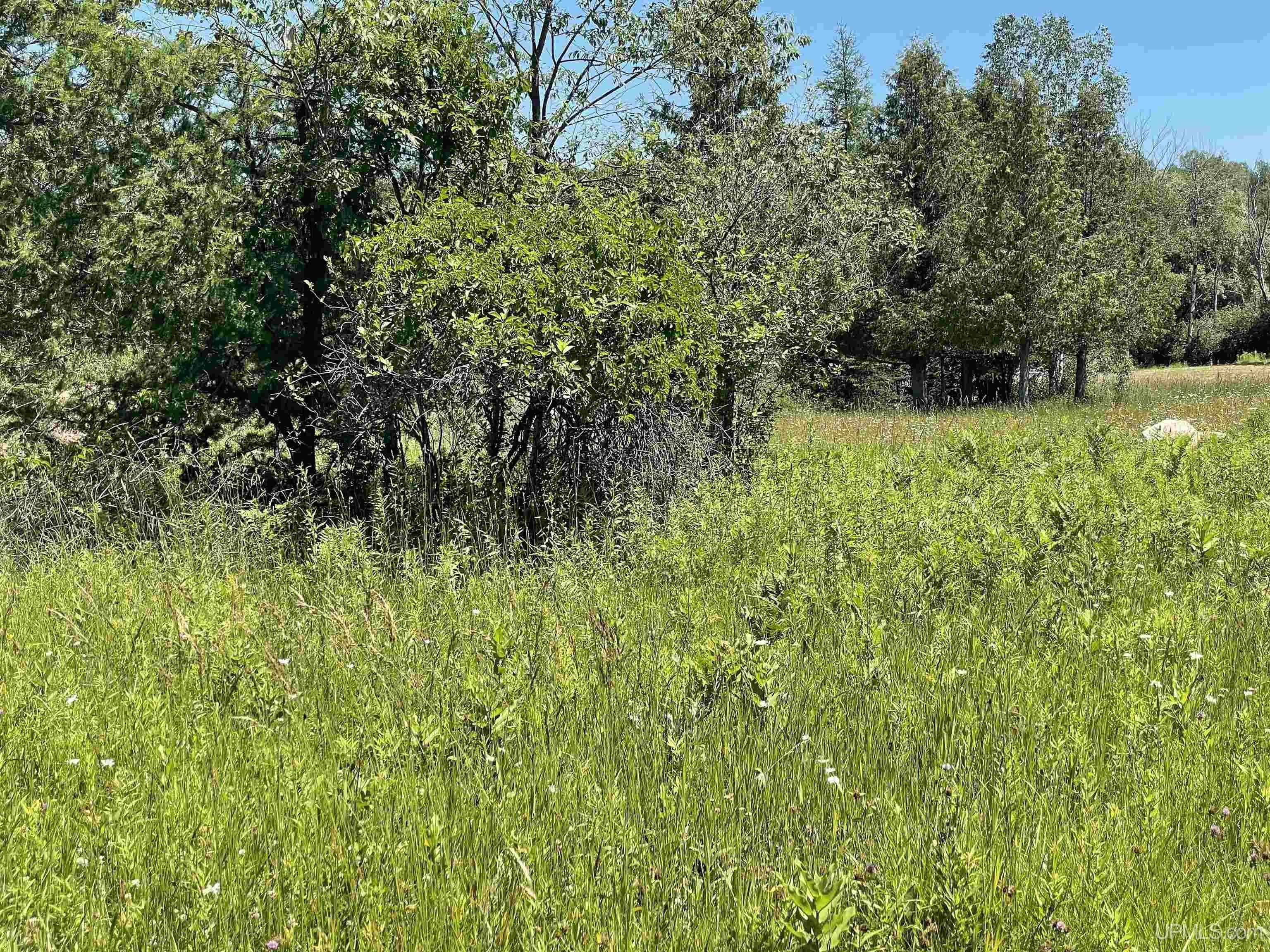 print property image