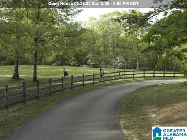 print property image