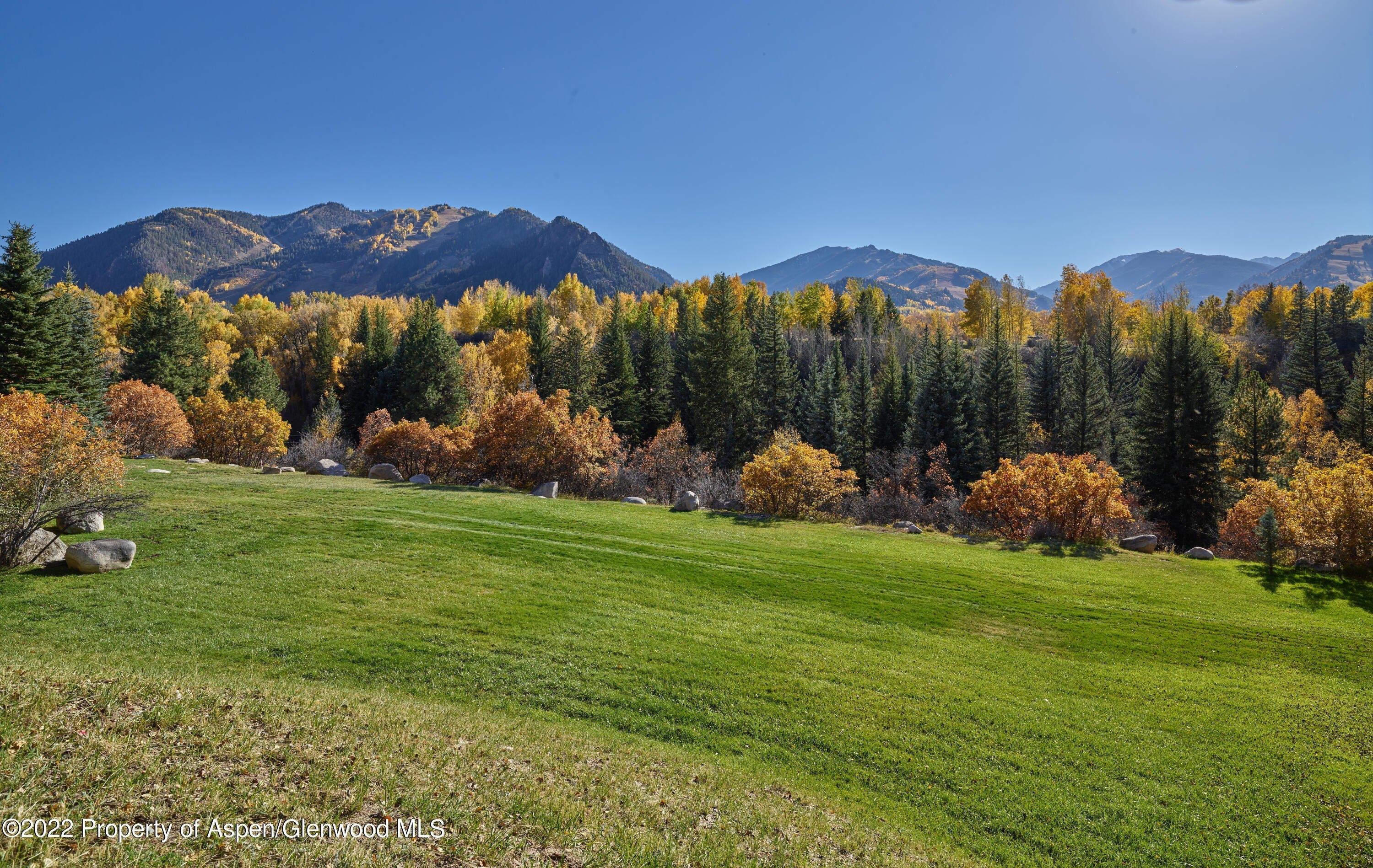 print property image