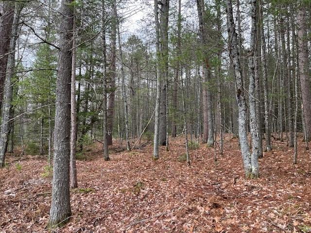 Property Image for On W FOREST LAKE RD Lot 5