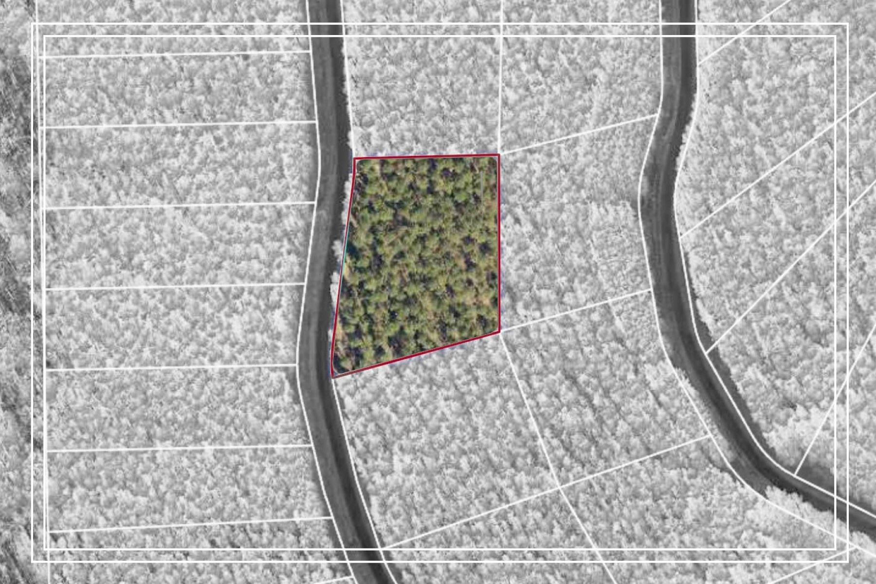 print property image