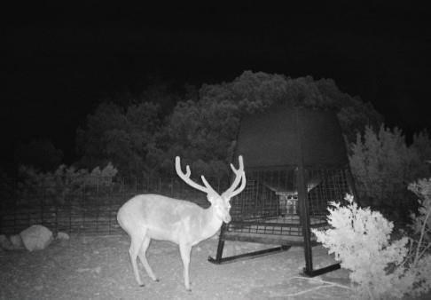 print property image