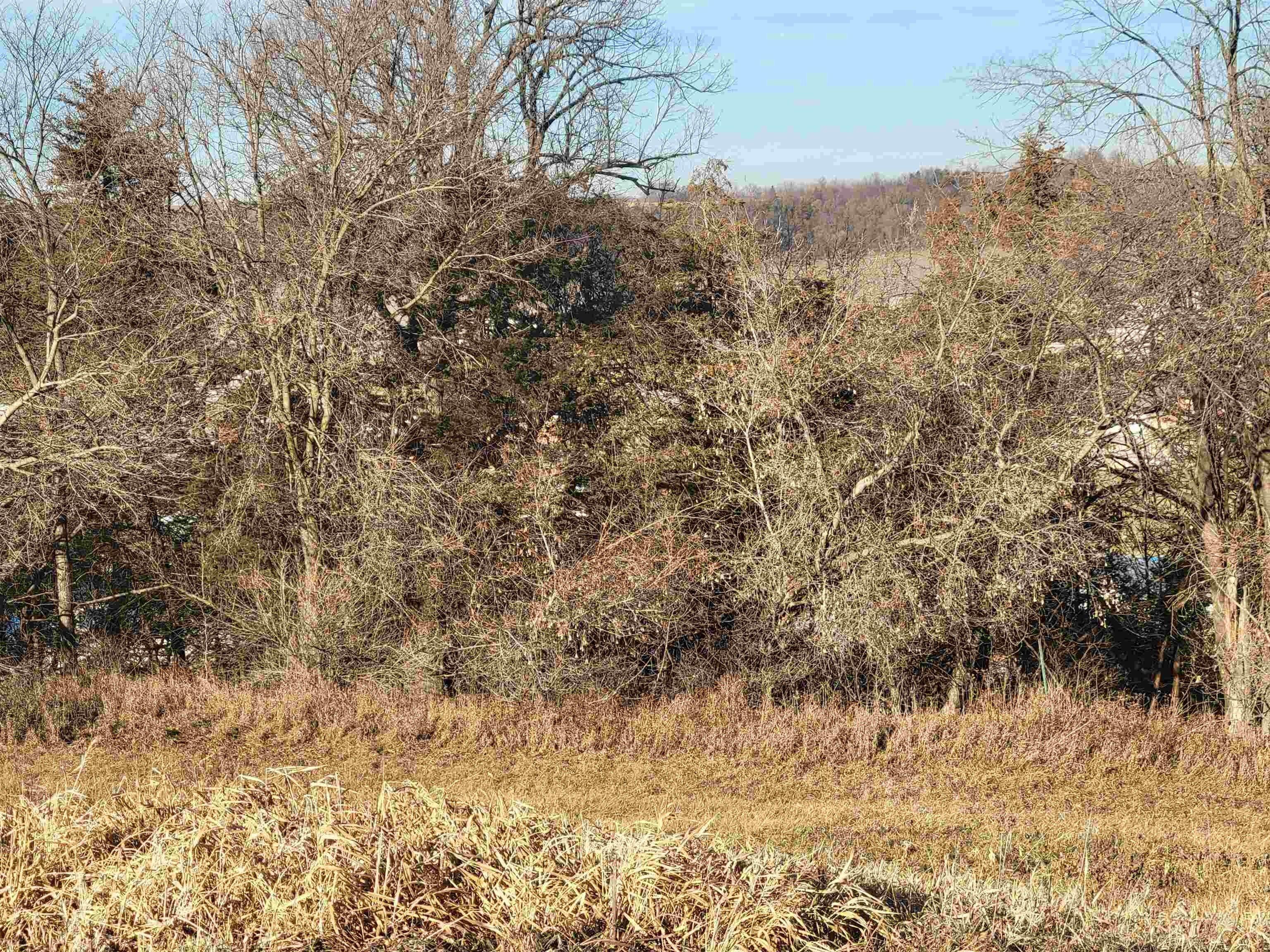 print property image