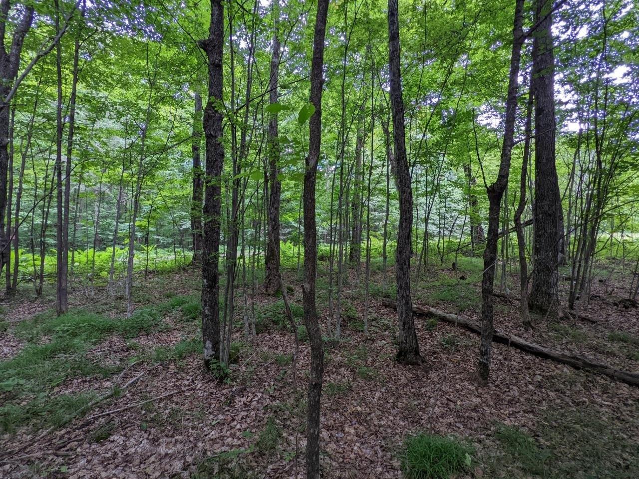 print property image