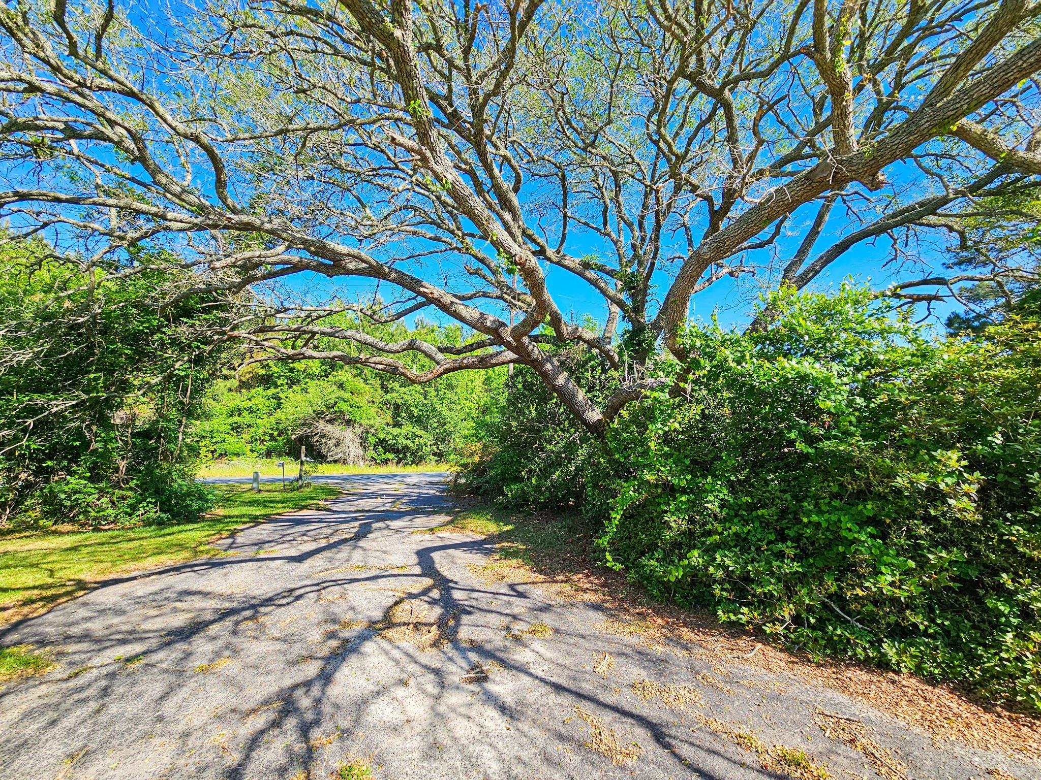 Lodge Real Estate Find Houses & Homes for Sale in Lodge, SC