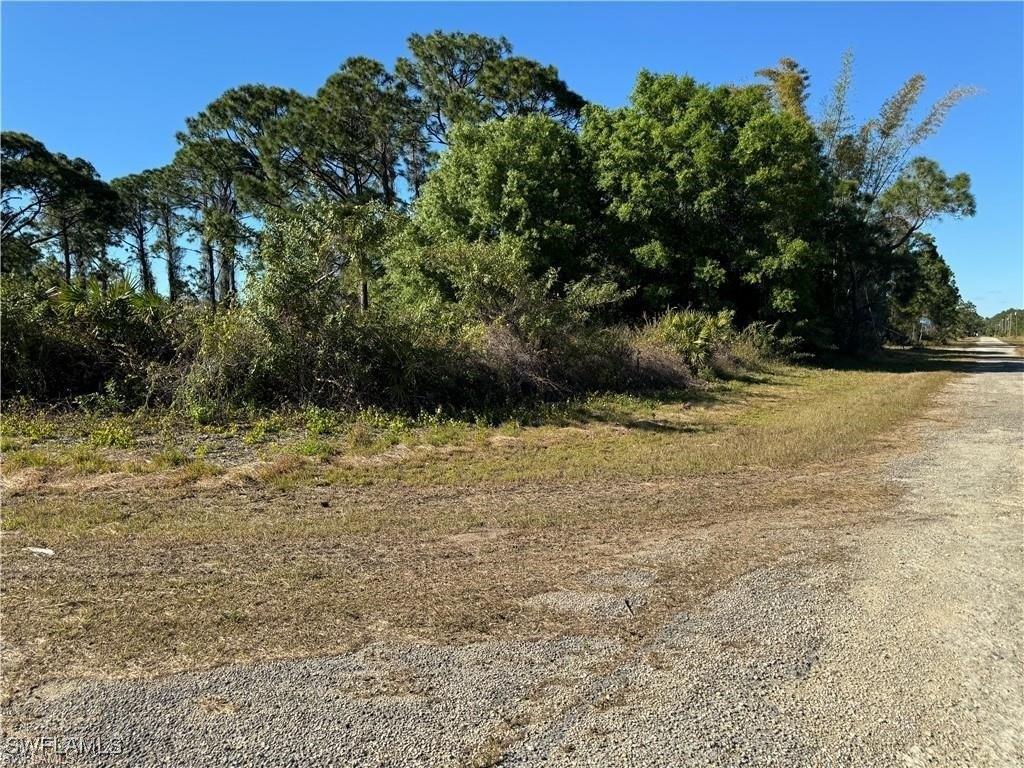 print property image