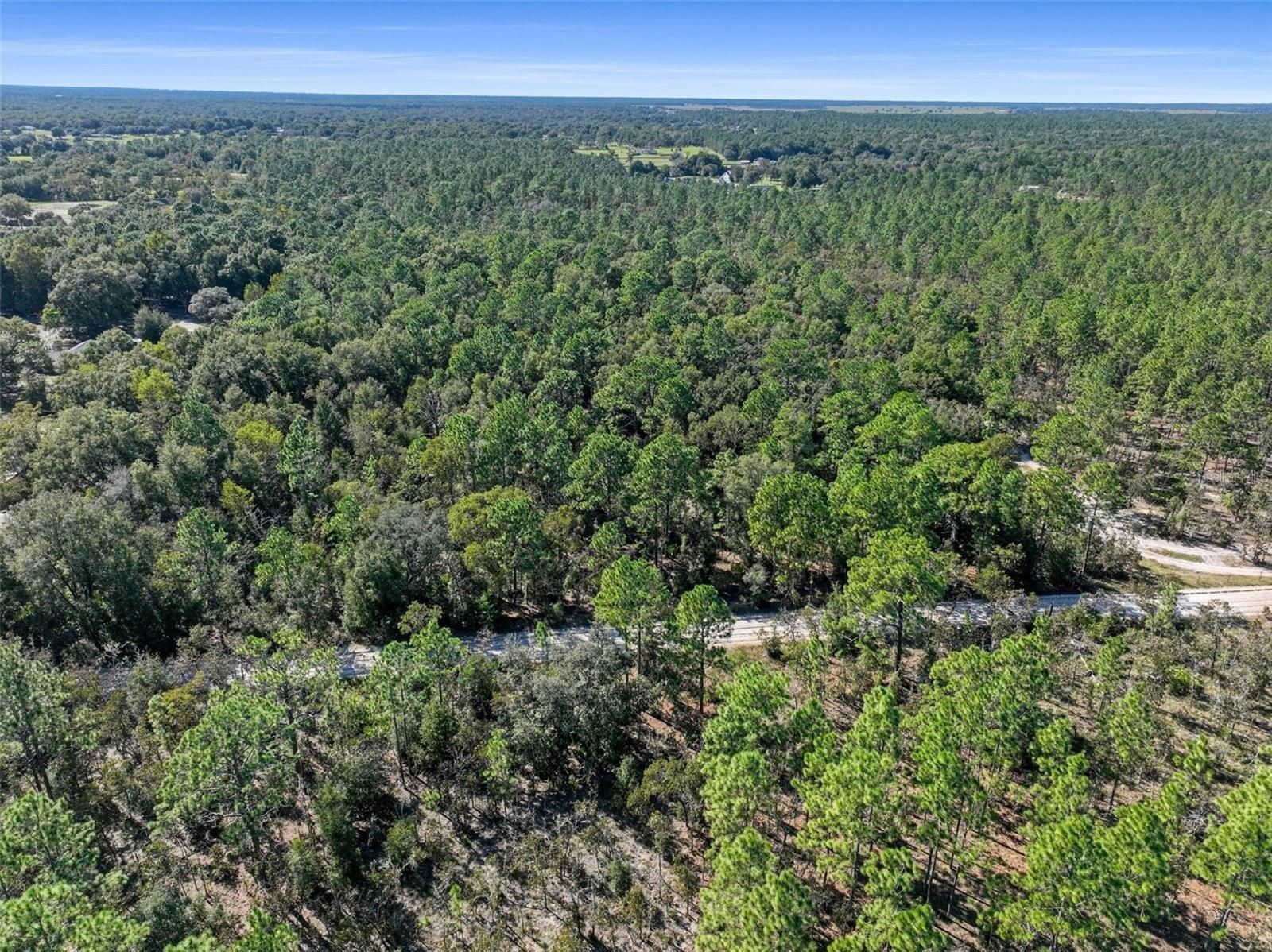 print property image