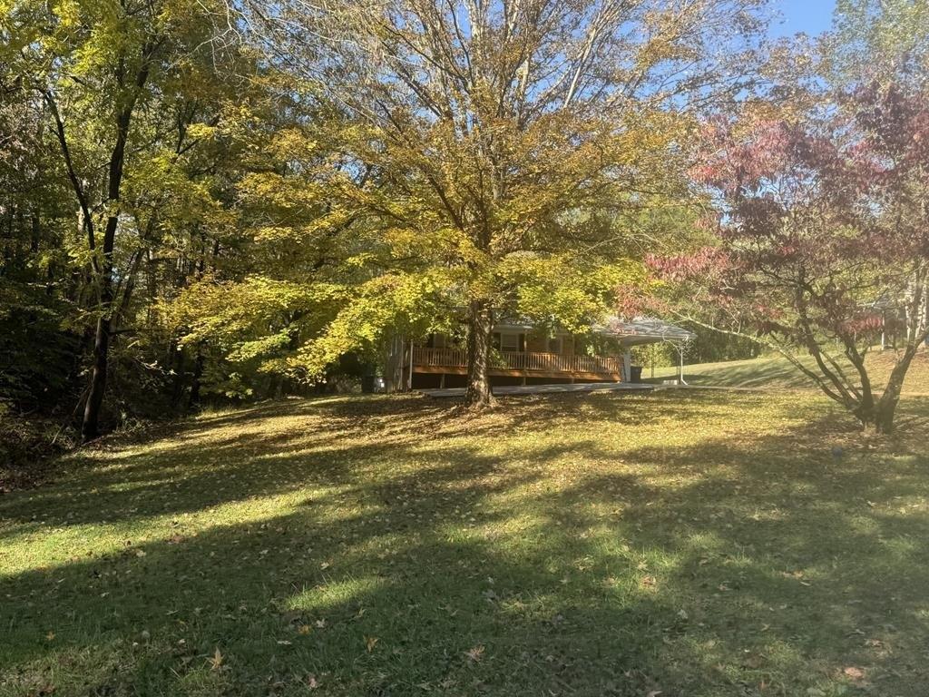 print property image