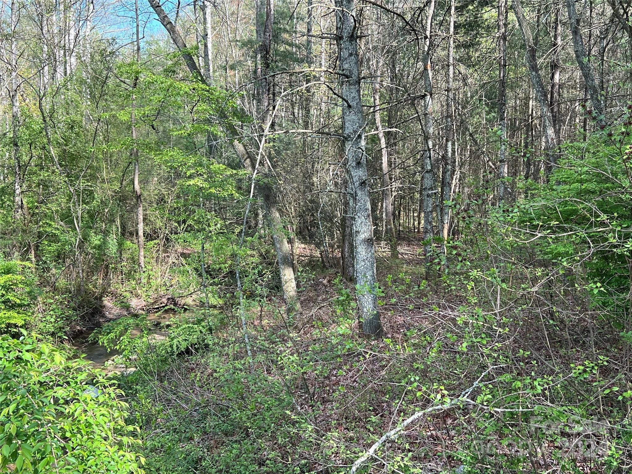 Property Image for 0 Kanuga Road