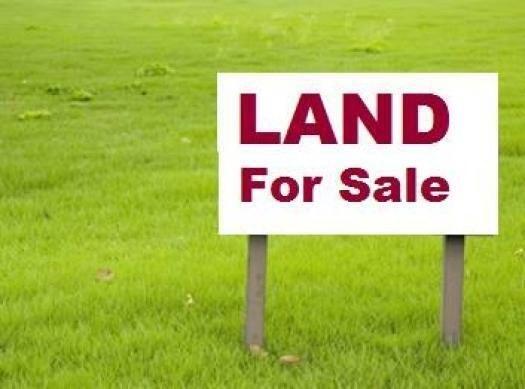 Property Image for 3704 PEACH ORCHARD Road