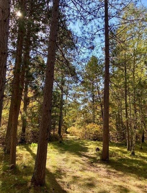 Property Image for Lot 22 Golden Eagle Trail