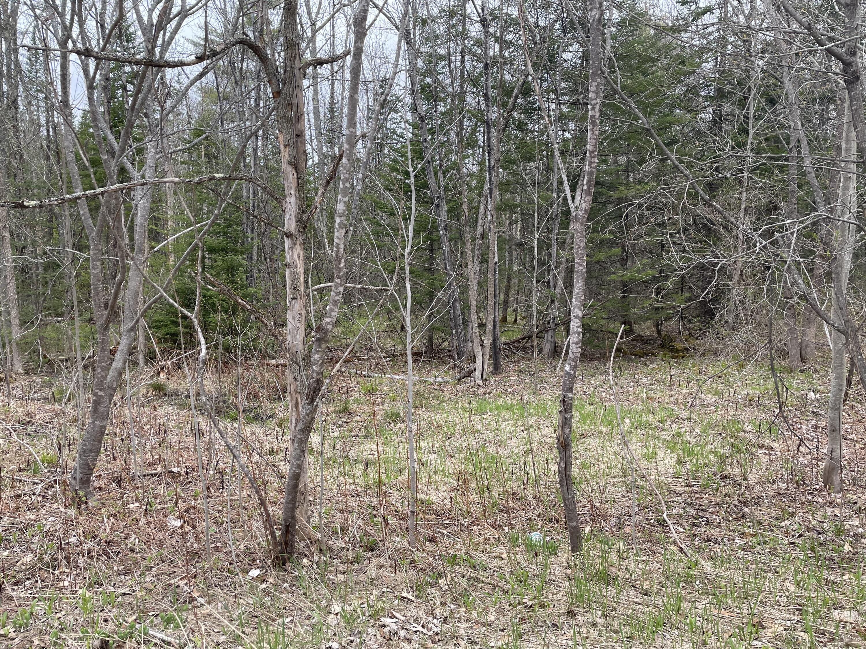 Property Image for Map9lot9b1 Hebron Road