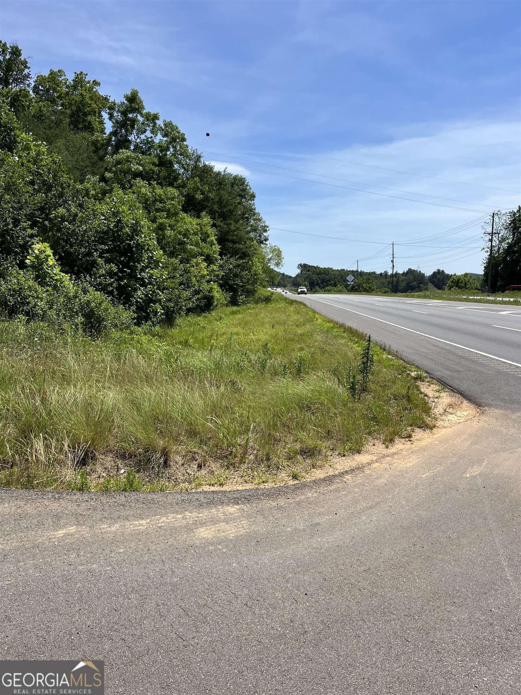 Property Image for 0 Highway 441 S