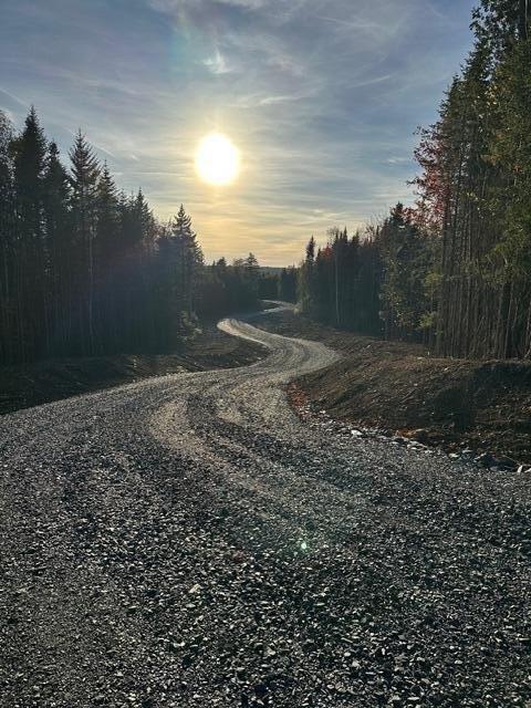 print property image