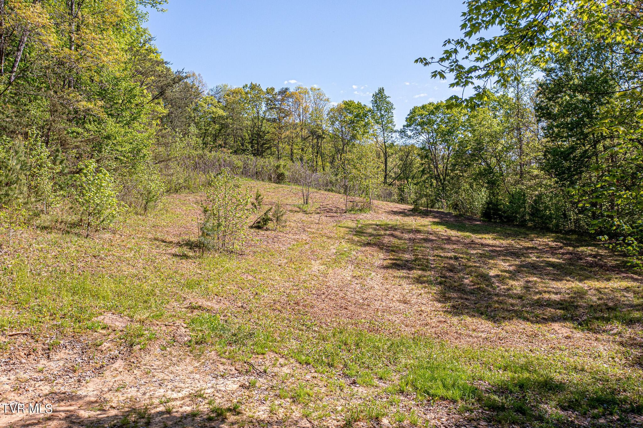 Property Image for Tbd Seay Hollow Road