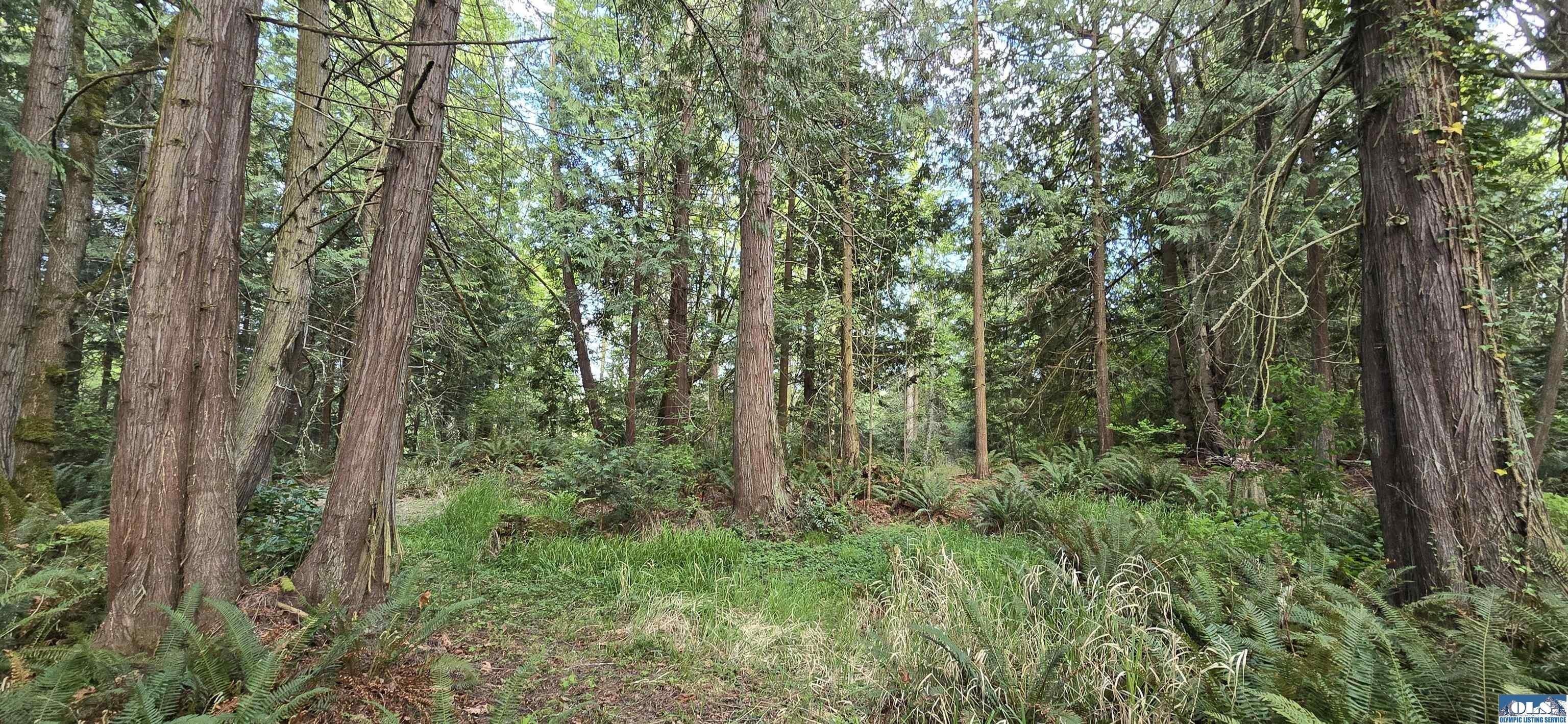 Property Image for 999 B Highway 101