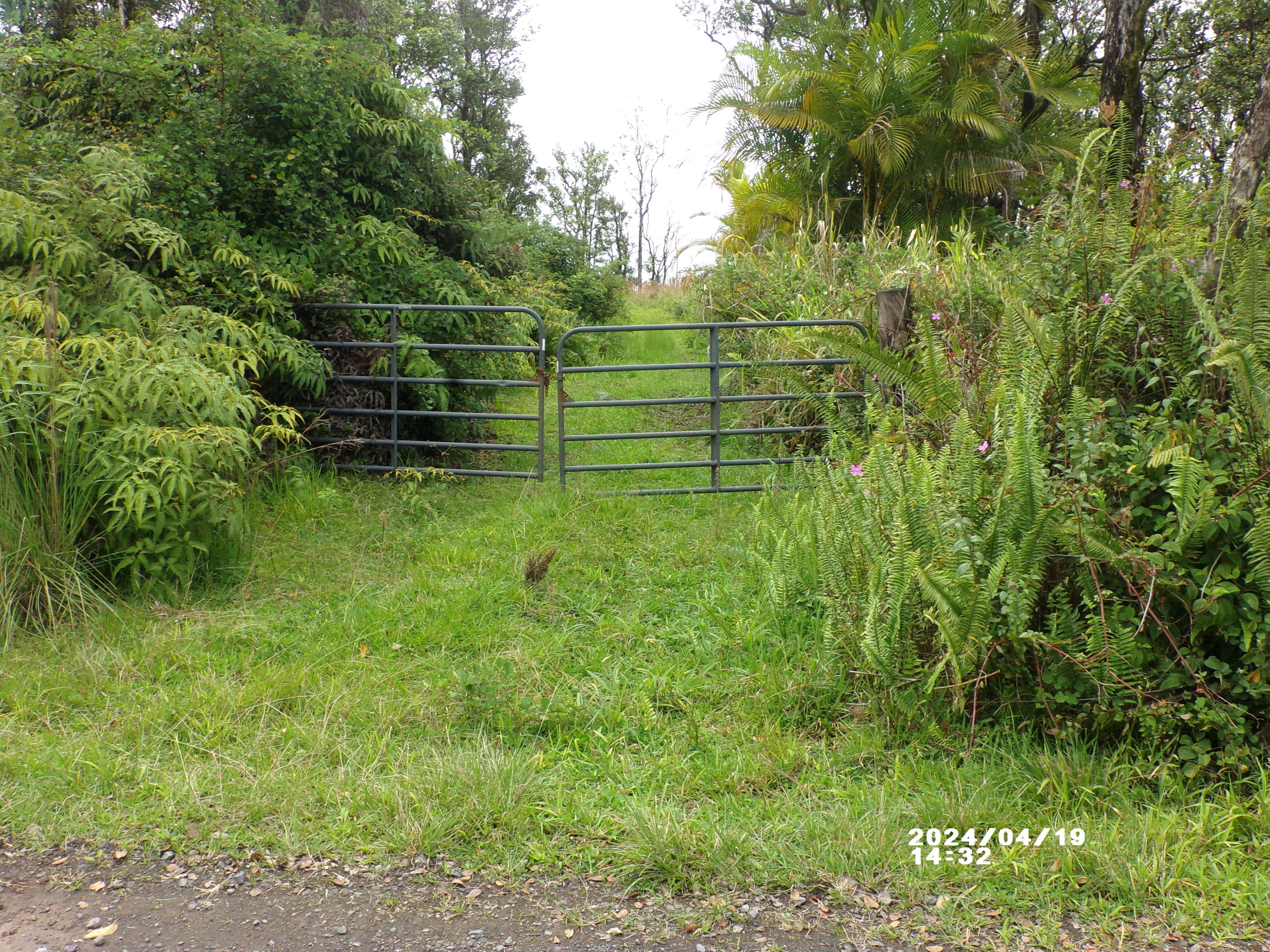 Property Image for 11-2202 OMEKA RD Lot #: 50