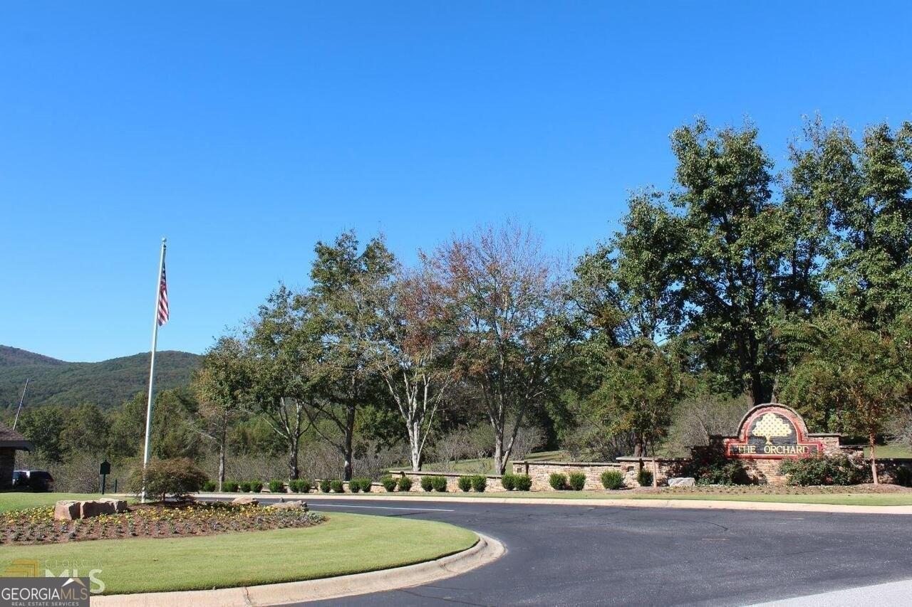 print property image