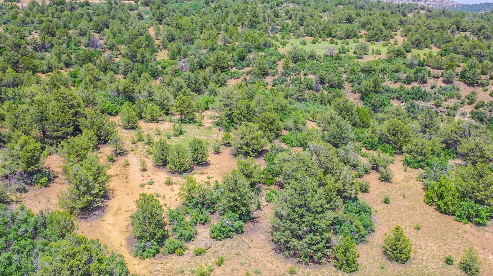 Property Image for TBD County Road 69.8