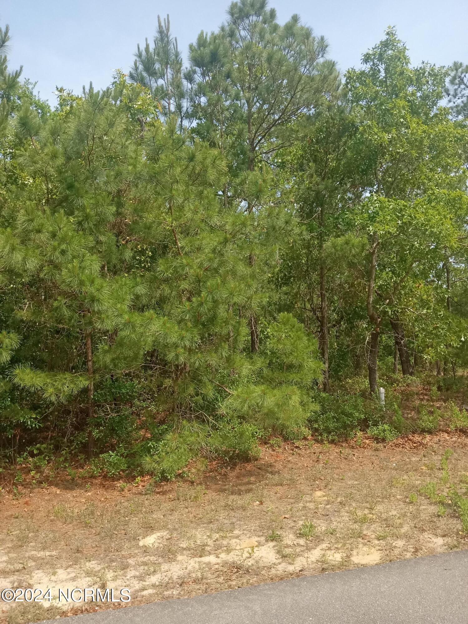 Property Image for Lot 65 NW 11 Th