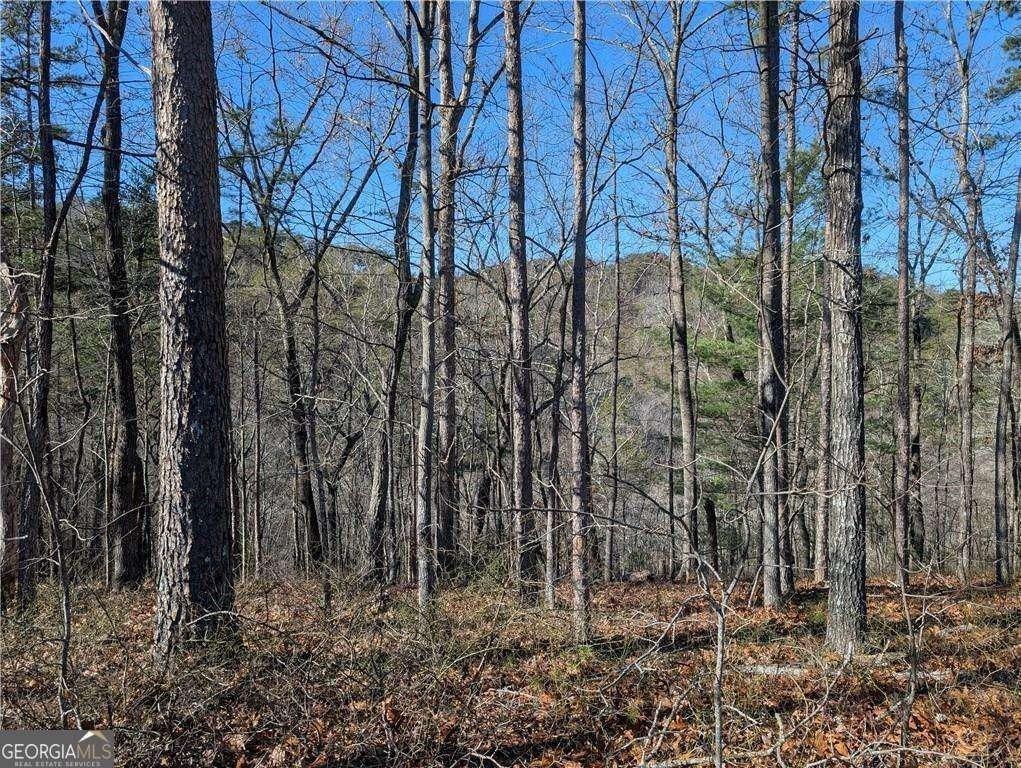 print property image