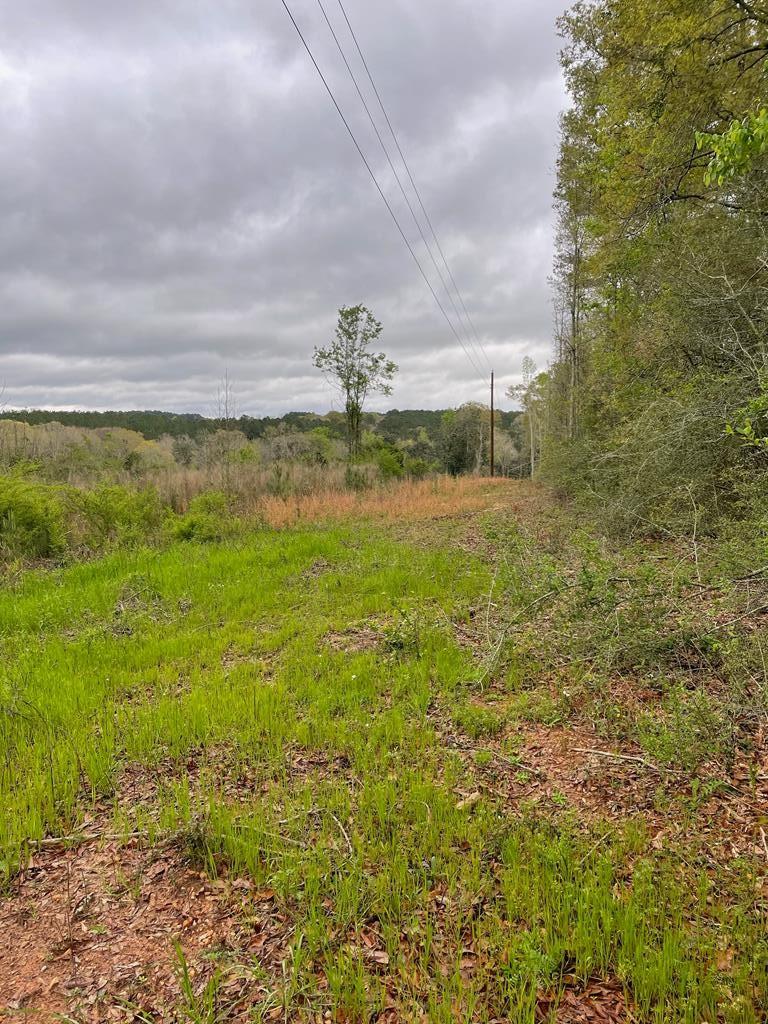 Property Image for 58 Private Rd 1401