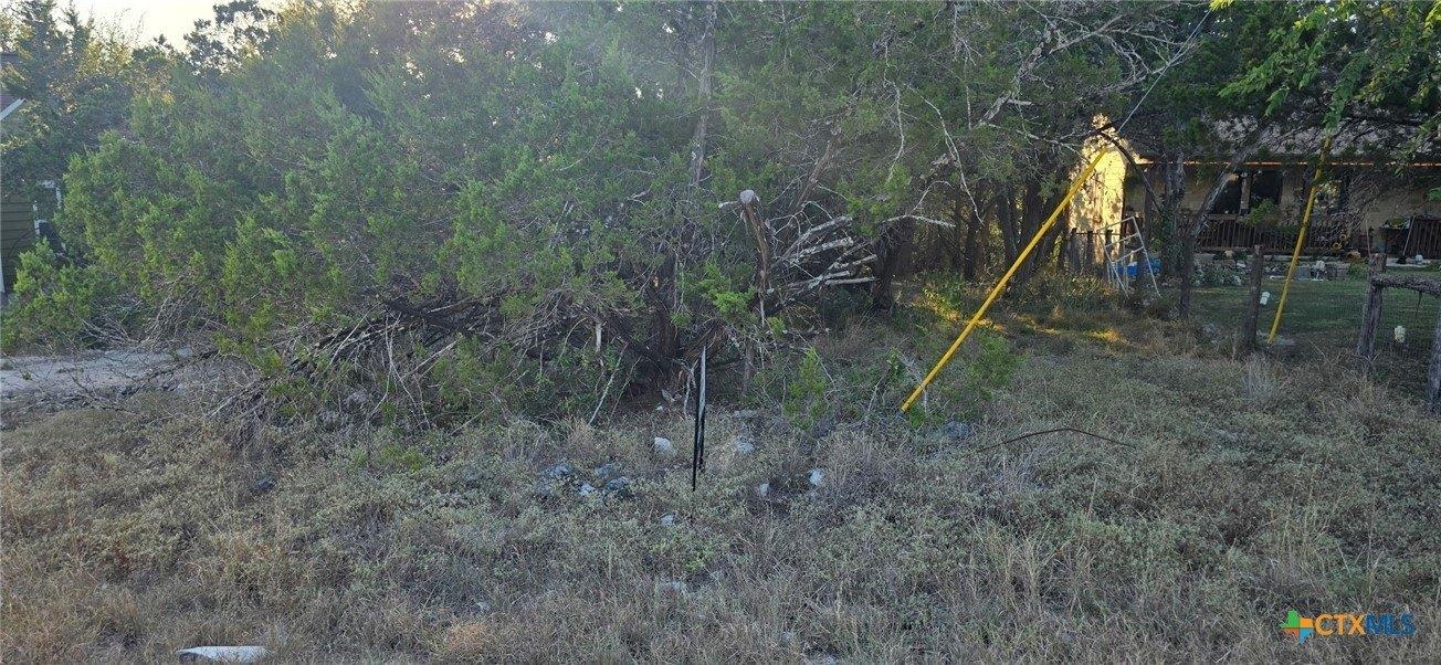 print property image