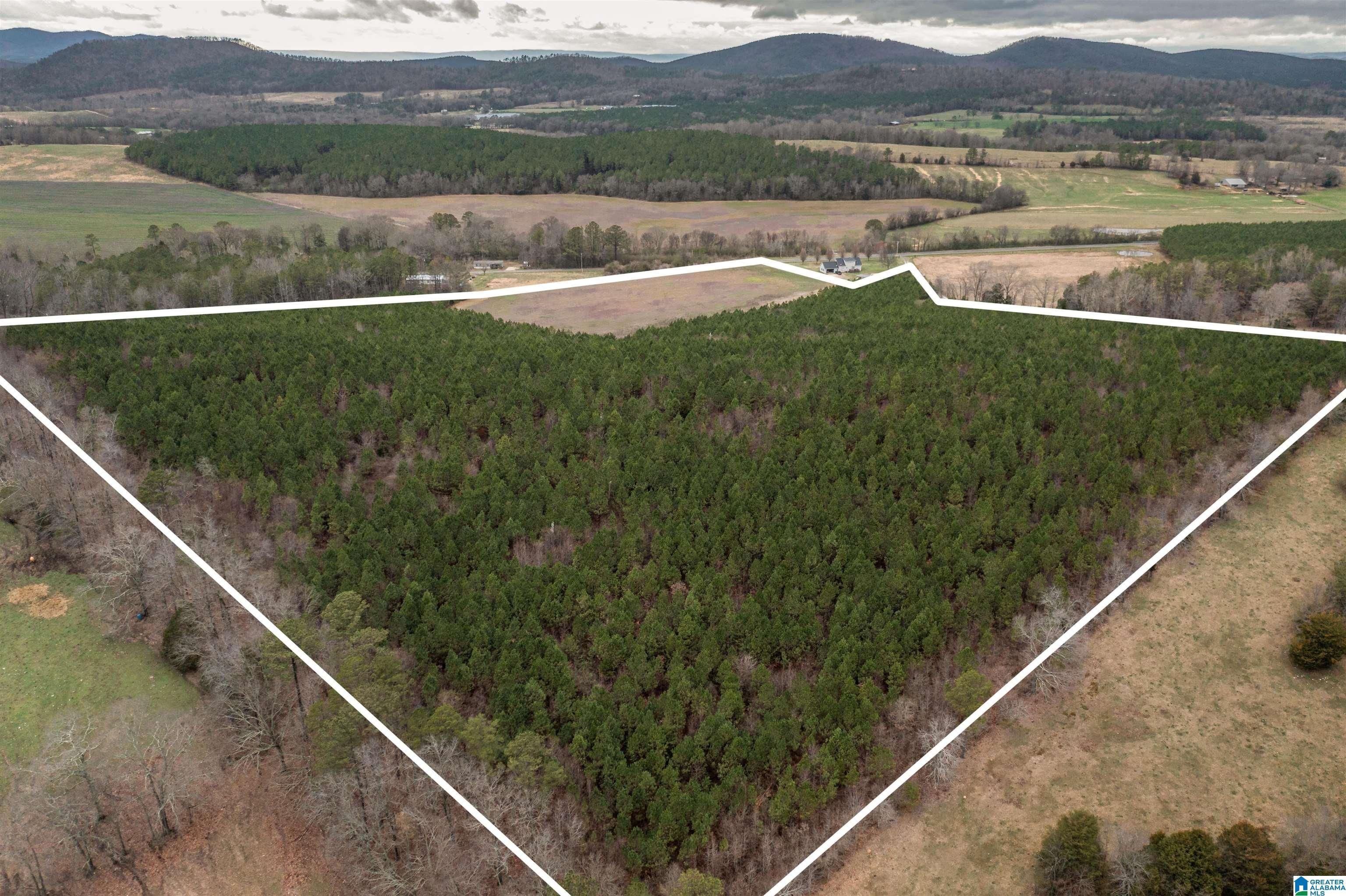 Property Image for 0 COUNTY ROAD 29 40 Acres