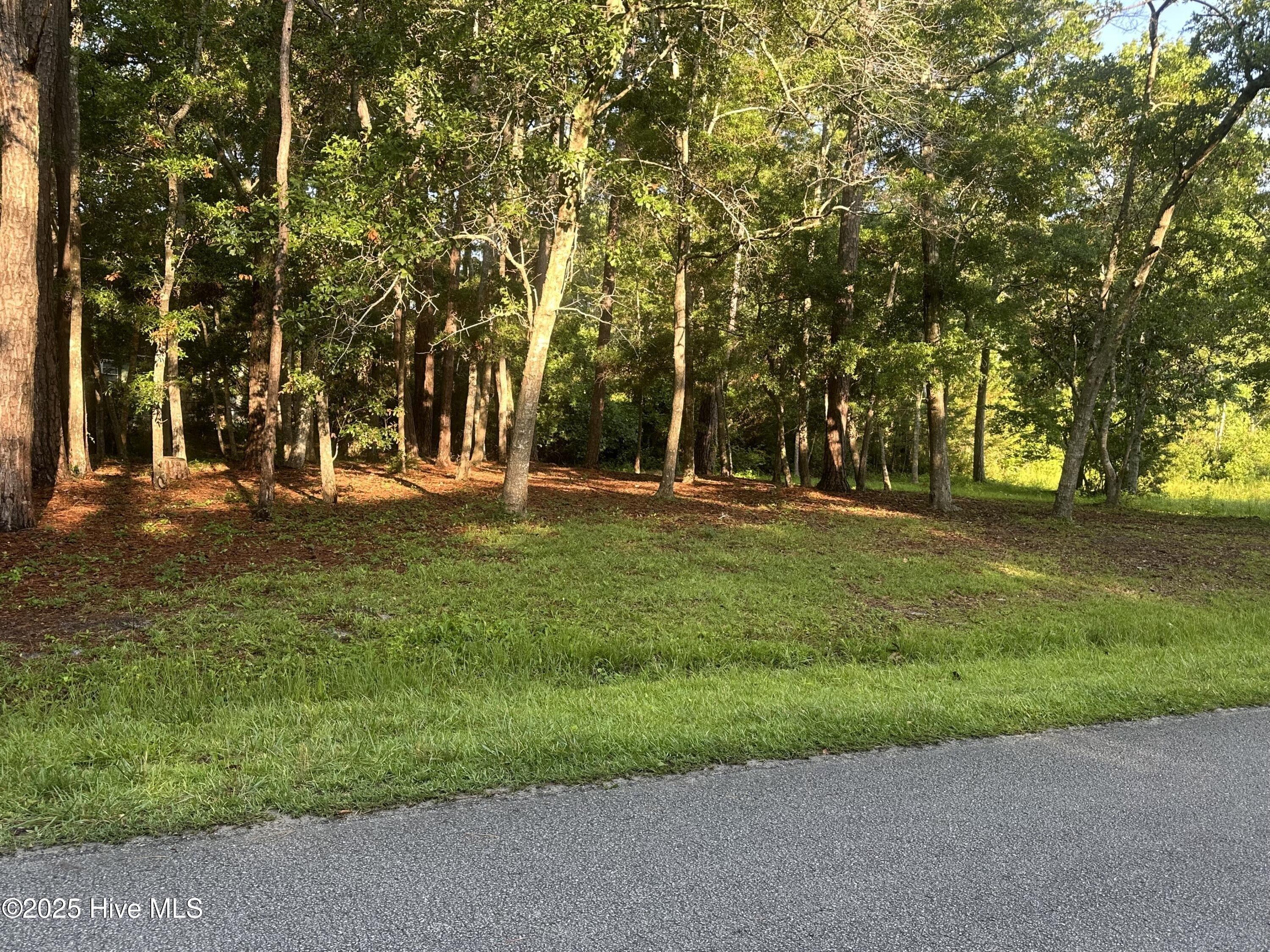 print property image