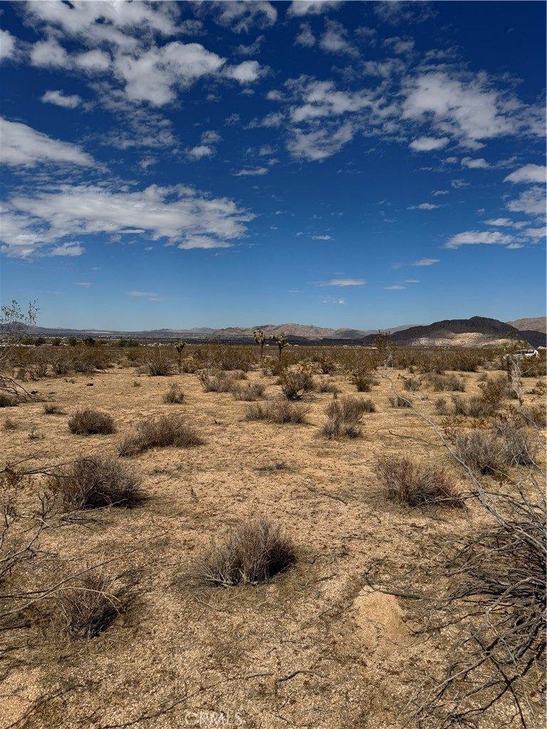 print property image