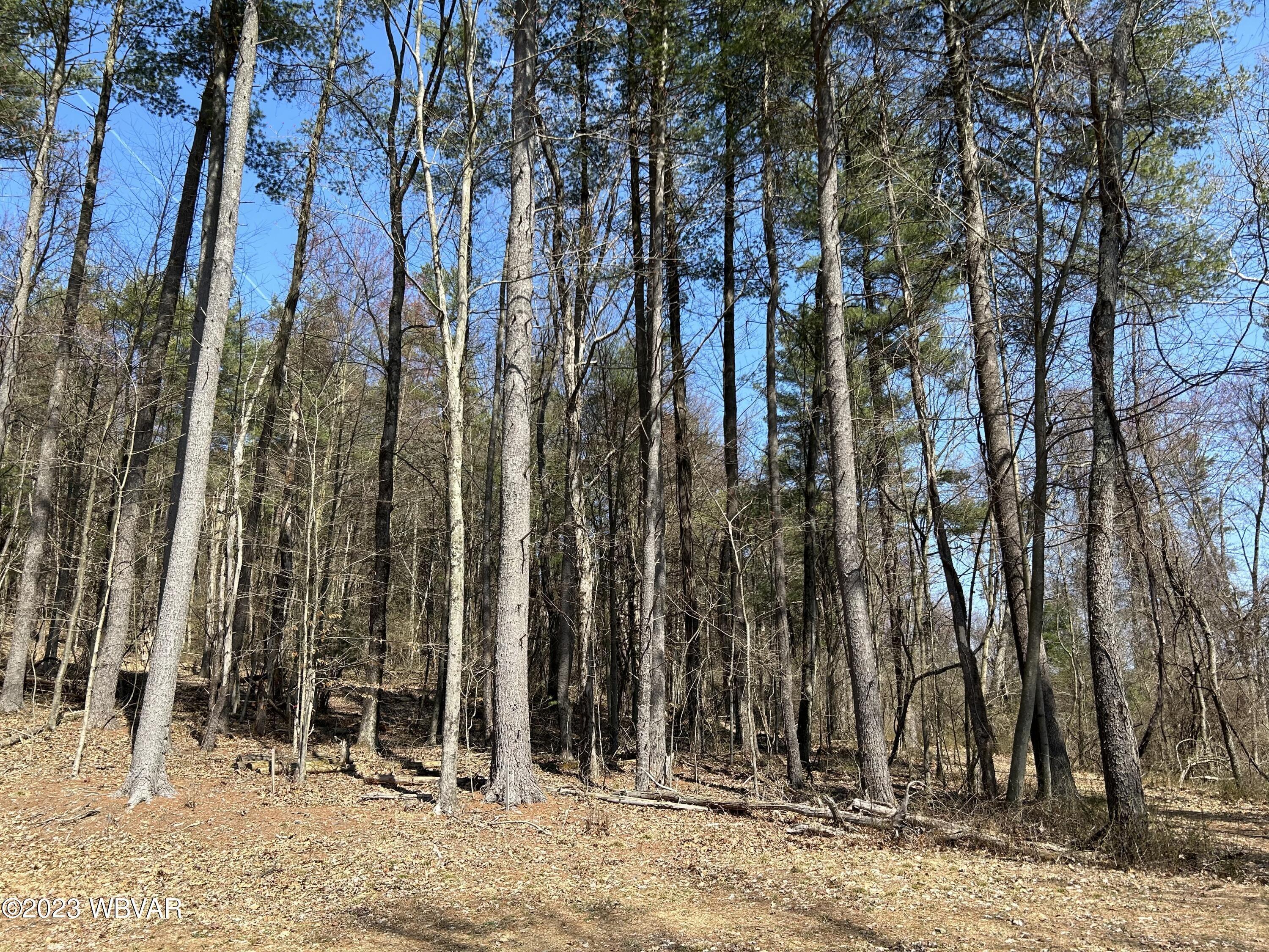 Property Image for Tallman Hollow Road Lot #4
